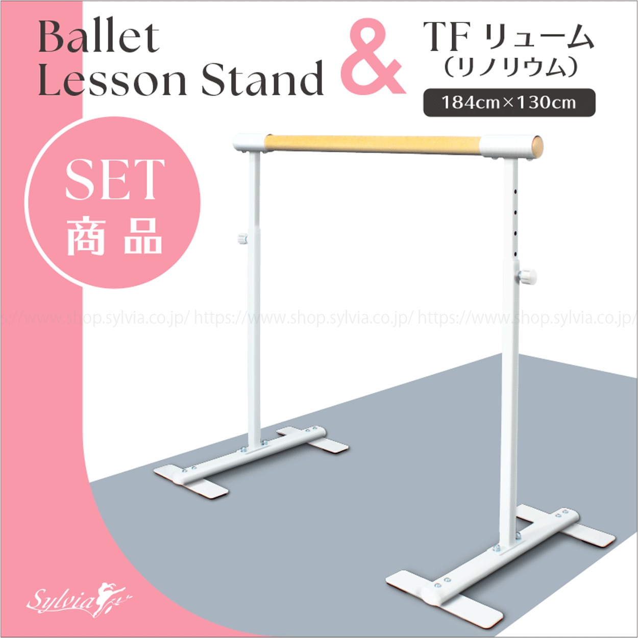 シルビア バレエ シュバリエ メンズサポーター【Tバック型