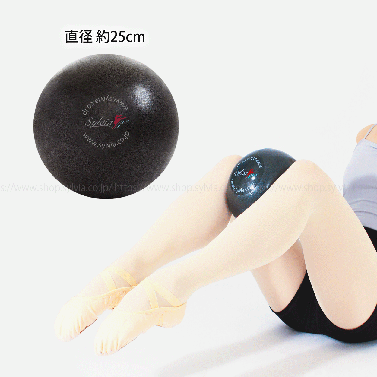 トレーニング用品 シルビア コアマスターボール | バレエ用品や