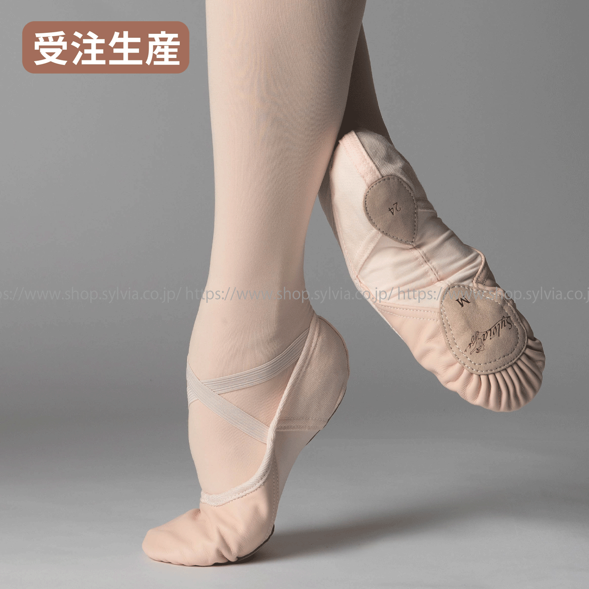 シルビア サザンクロスIV 前皮スプリットソールバレエシューズ＜布製＋