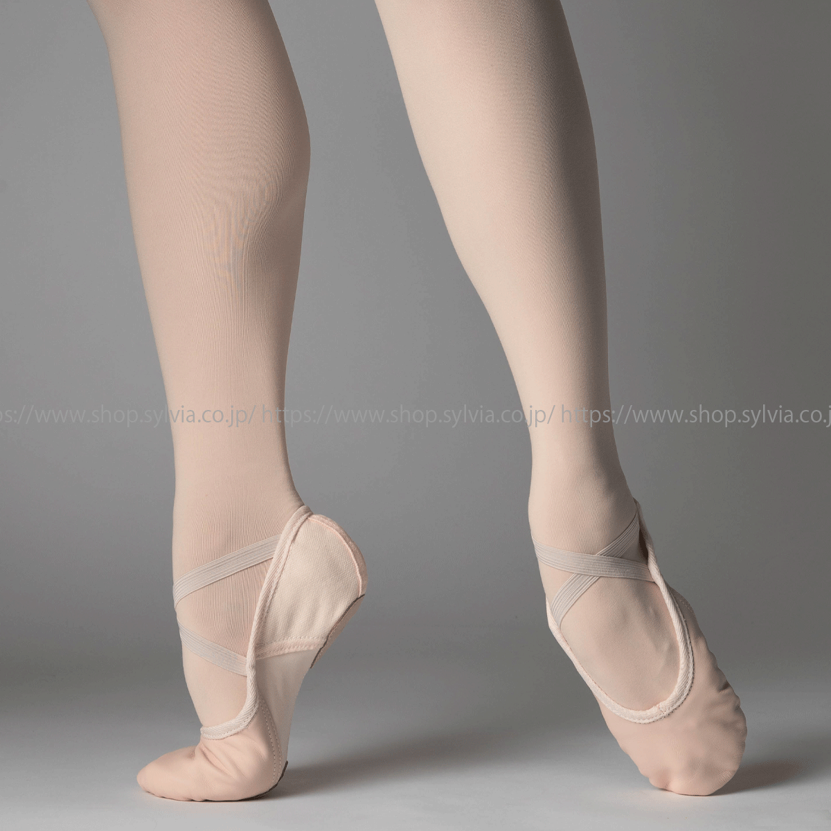 シルビア サザンクロスIV 前皮スプリットソールバレエシューズ＜布製＋