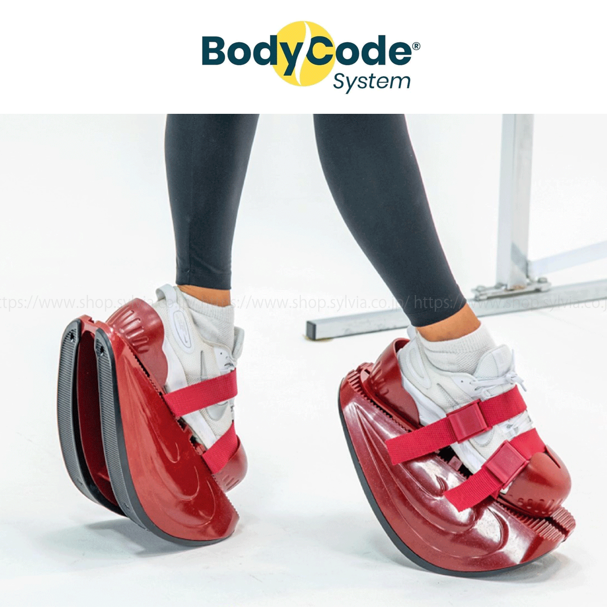 マスターストレッチ®　Master Stretch® トレーニング用品 マスターストレッチ 販売 バレエやダンスをする方に