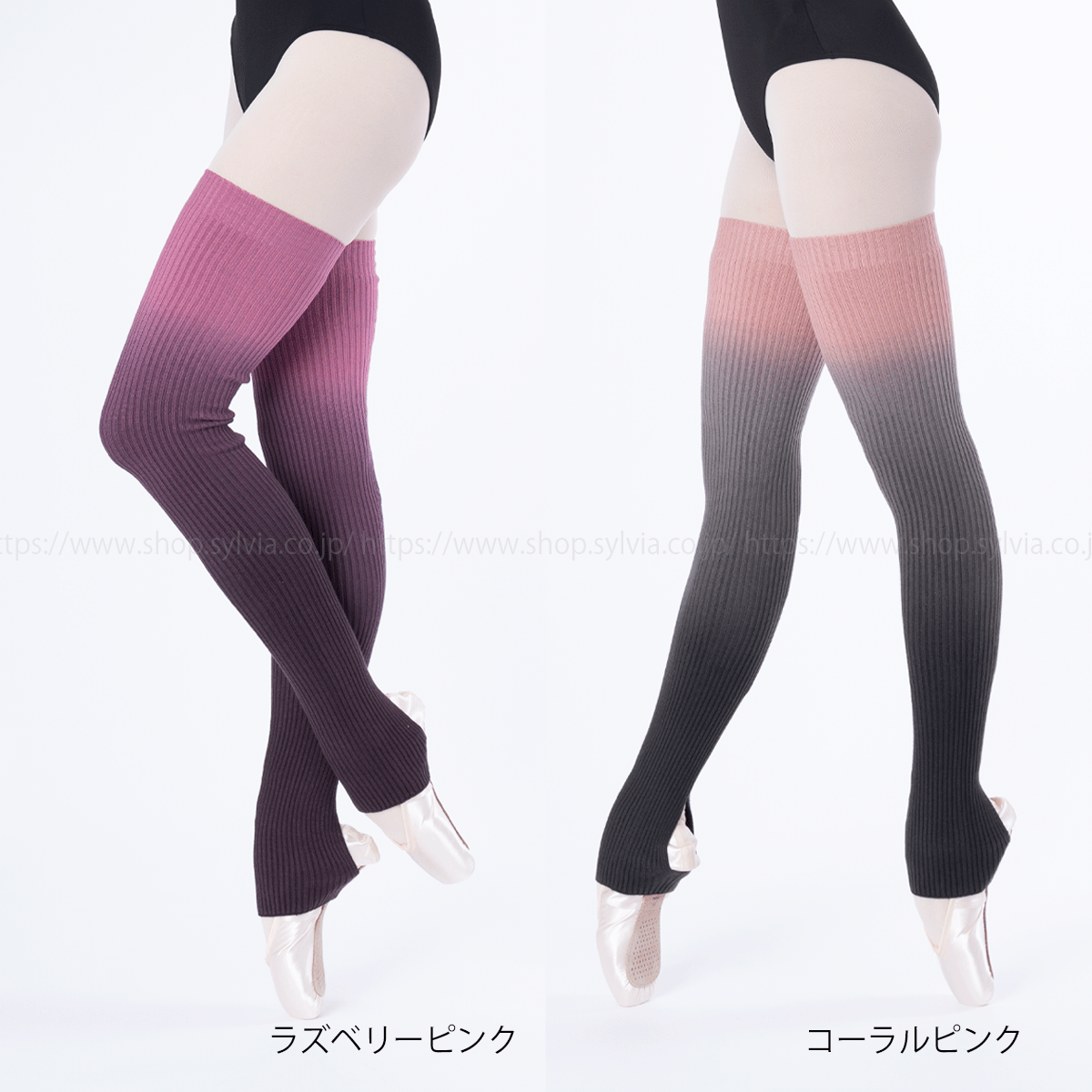 シルビア グレースグラデーション レッグウォーマー【80cm】 | バレエ