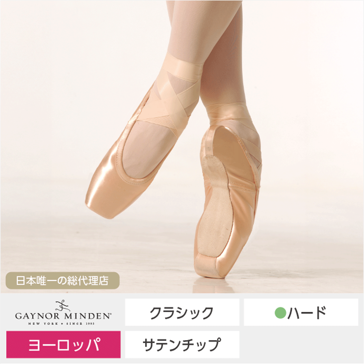 ゲイナーミンデン | バレエ用品やレオタードならシルビアのオンライン