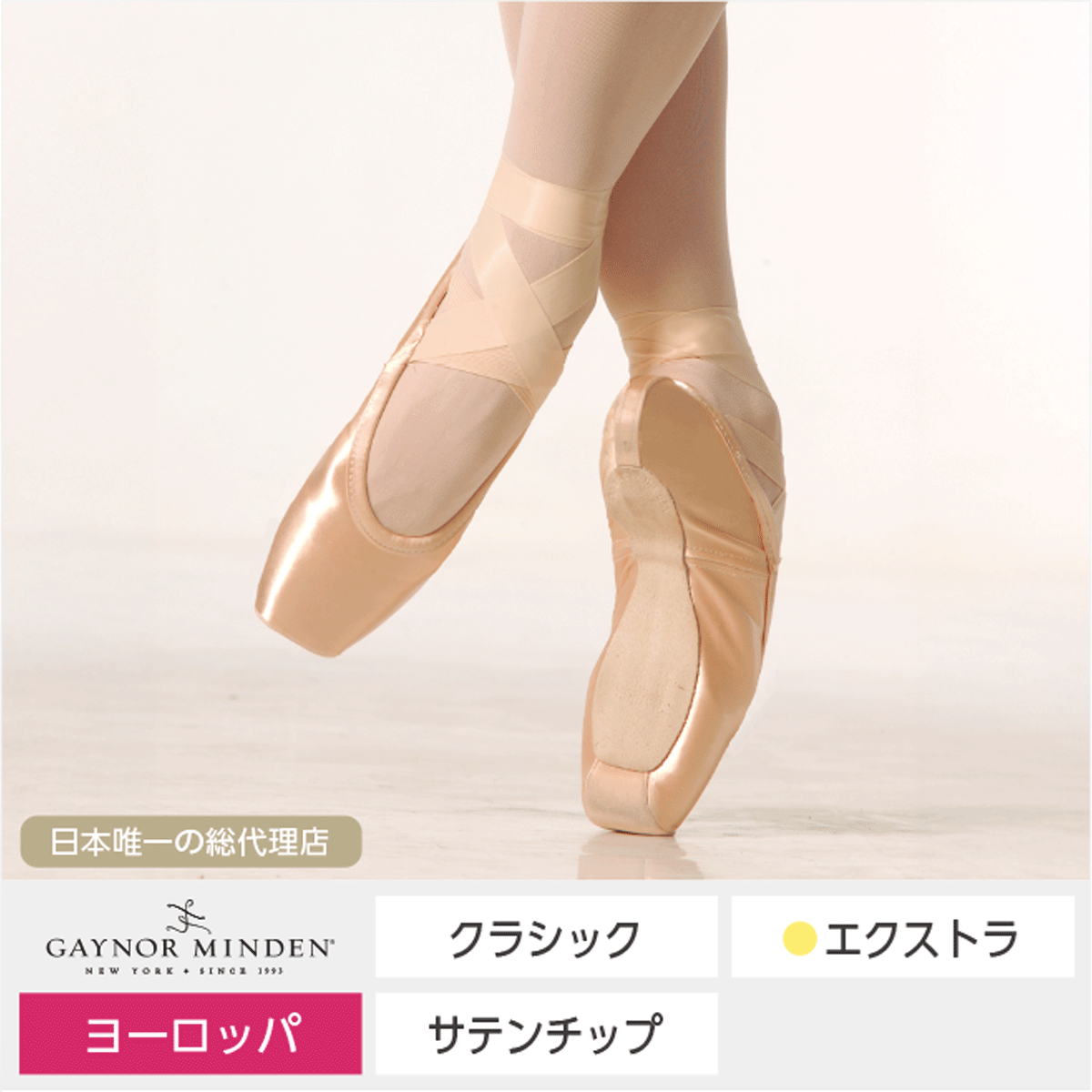 バレエ用品やレオタードならシルビアのオンラインストア