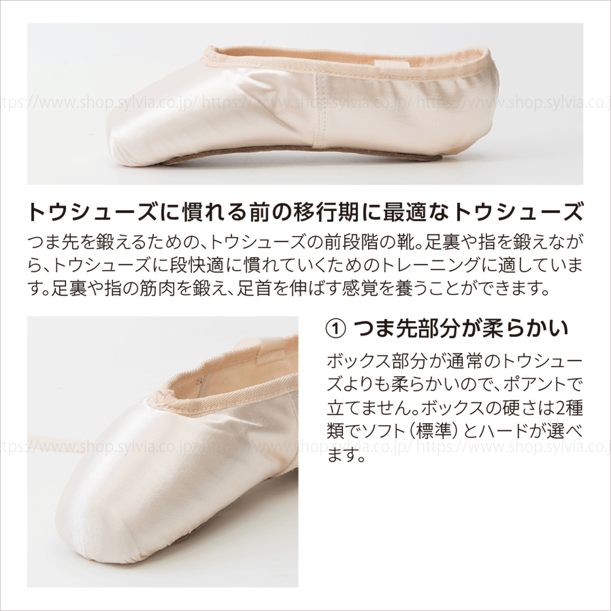 シルビアトウシューズ プレトウ(26.0cm/EEE幅)ソフト※受注生産