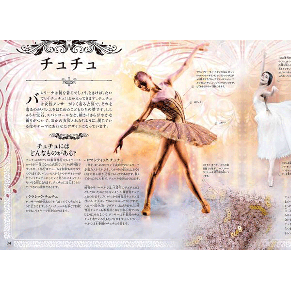 Amazon.co.jp: バレエの世界へようこそ:あこがれのバレエ