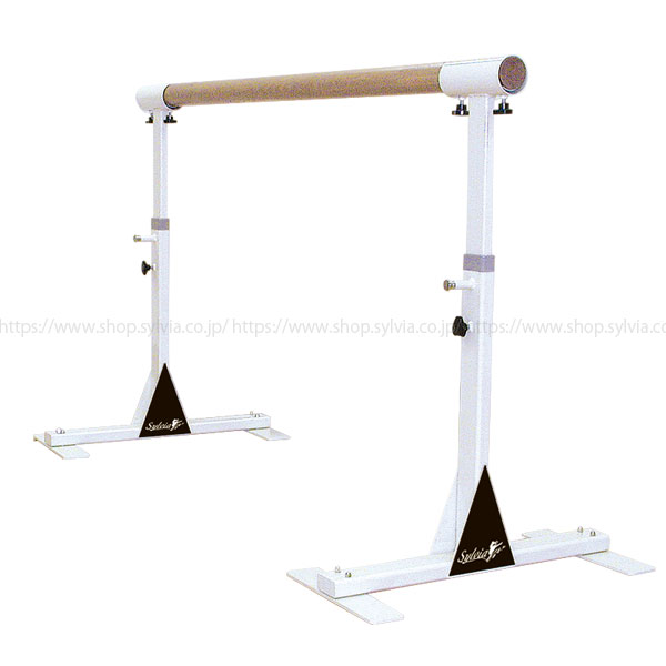 シルビア バレエレッスンスタンド（スタンド＆バー セット）送料別途