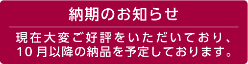 シルビア/クラシックボン/4号 シルビア クラシックボン ［4～6号］（ウエスト回り光沢あり