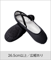 シルヴィア MEN’s ユニタード バレエ レッスン用 新品未使用 シルヴィア MEN's ユニタード バレエ レッスン用 新品未使用の