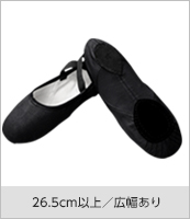 シルヴィア MEN’s ユニタード バレエ レッスン用 新品未使用 バレエ用品やレオタードならシルビアのオンラインストア